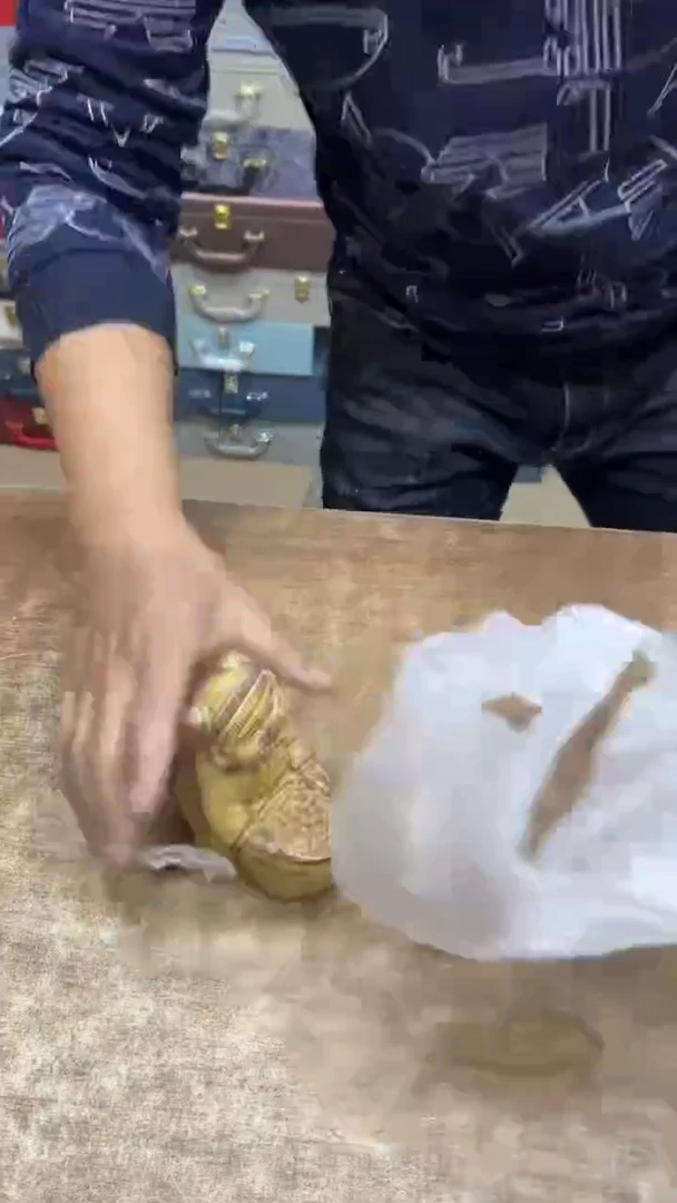 【闪购商品】其他其他其他其他其他