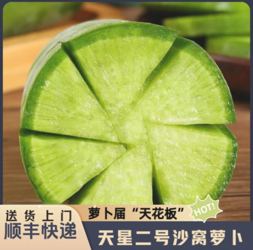 【顺丰快递】【天星二号】天津正宗沙窝萝卜【天花板】