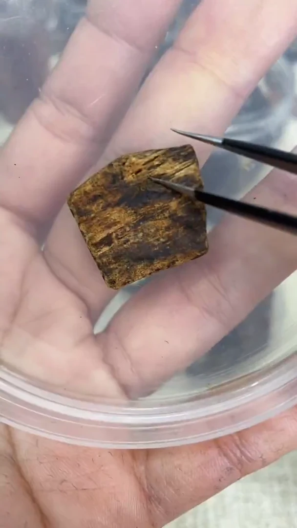 天然野沉香 回流芽庄 原材料