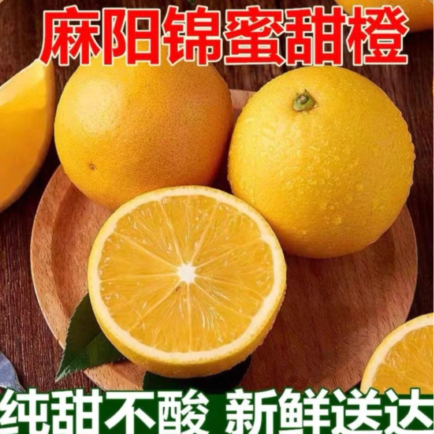 正宗湖南麻阳锦蜜冰糖橙新鲜采摘纯甜无酸爆汁9斤包邮到家