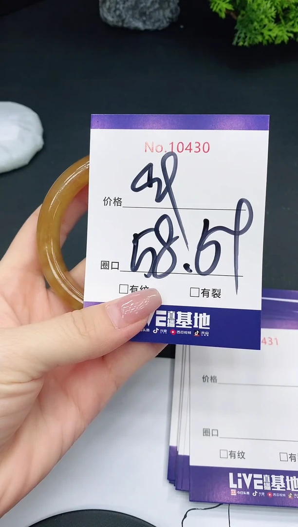 未镶嵌手镯翡翠10430