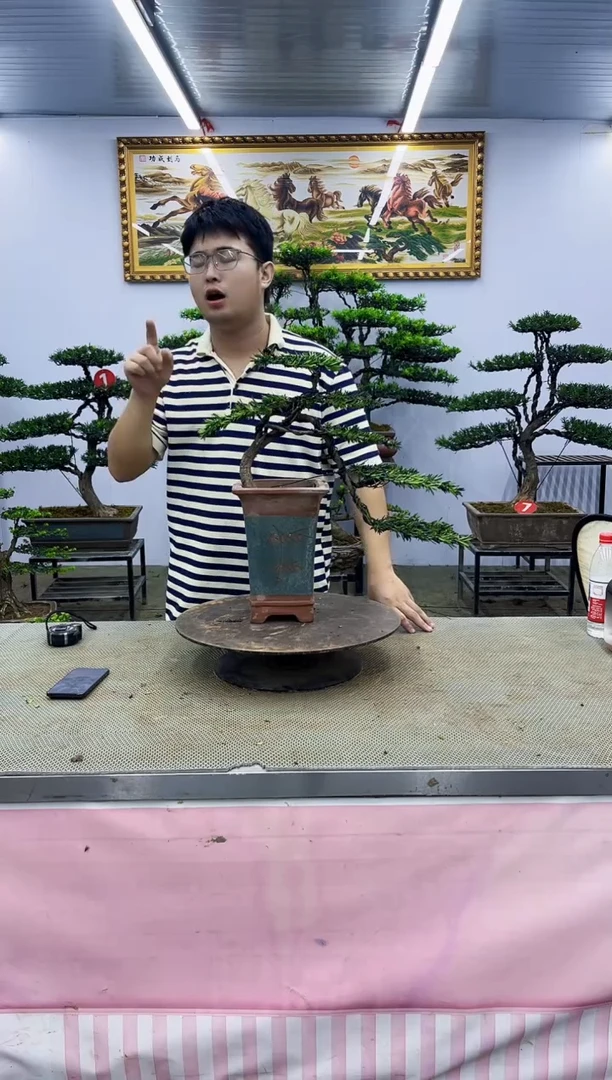 无花朵一物一拍，所见即所得