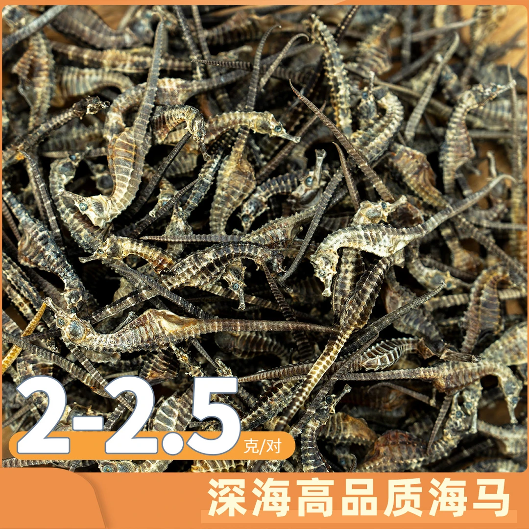甄选深海溯源码正品海马夫妻小朋友煲汤组合