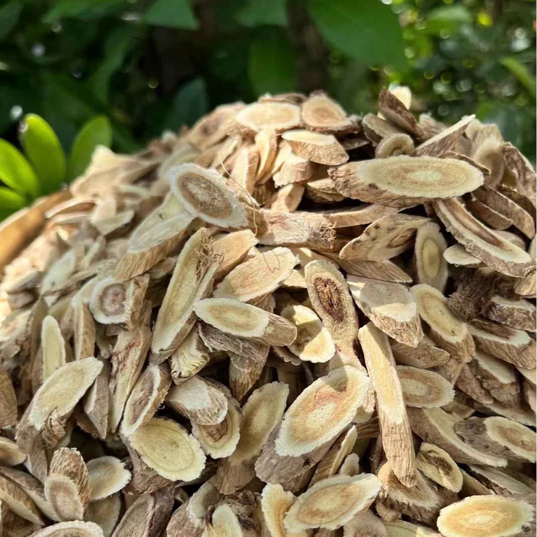 【阿海精选】下山黄芪