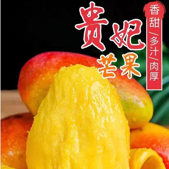 【新鲜时令】海南贵妃芒果/现货现发/自然树上成熟