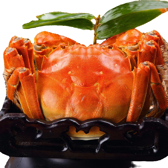 【活蟹】精品河蟹2.0-1.8两全母8只加4只共12只礼盒装
