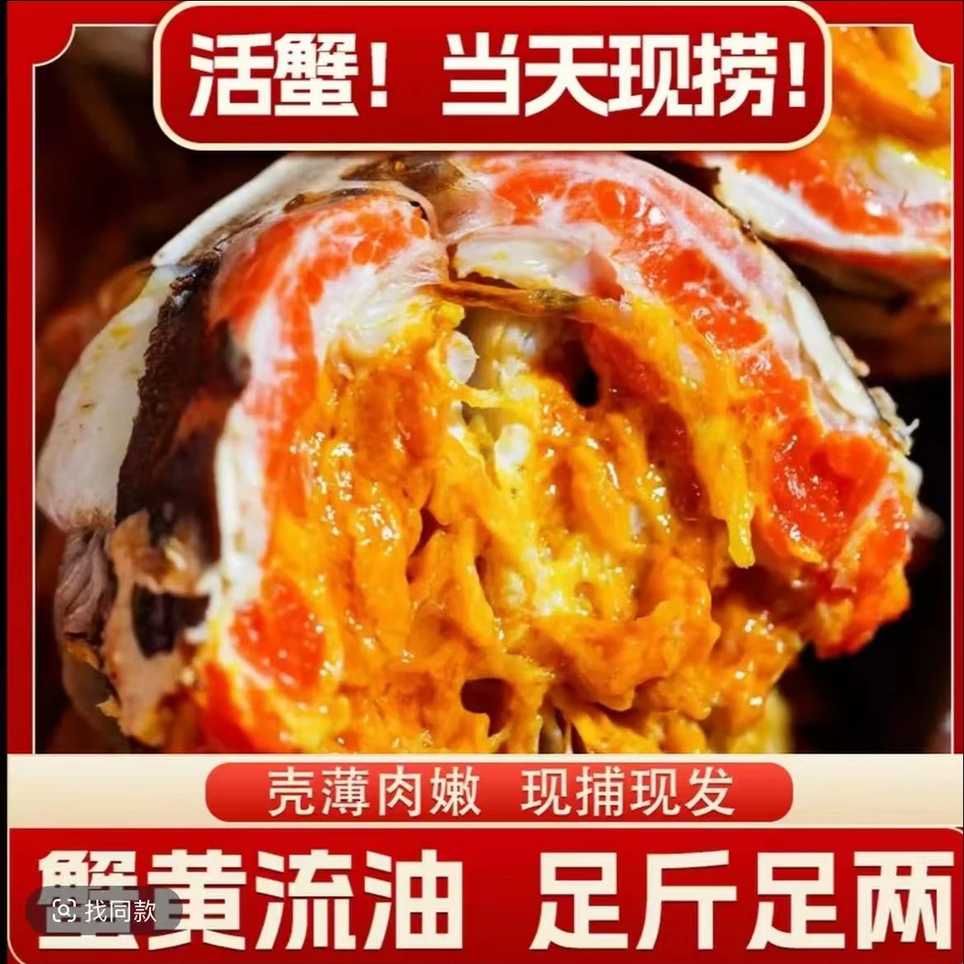 【活蟹】苏州精品大闸蟹公5.0-4.7两母4.0-3.7两10只/8只礼盒装