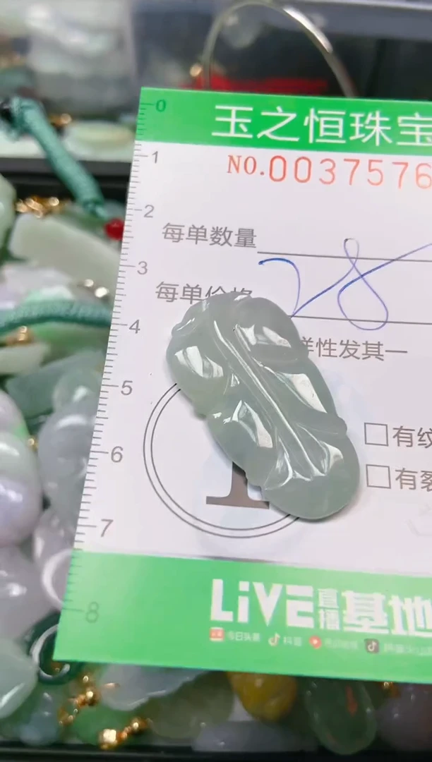 【闪购商品】翡翠颈饰未镶嵌闪购0037576