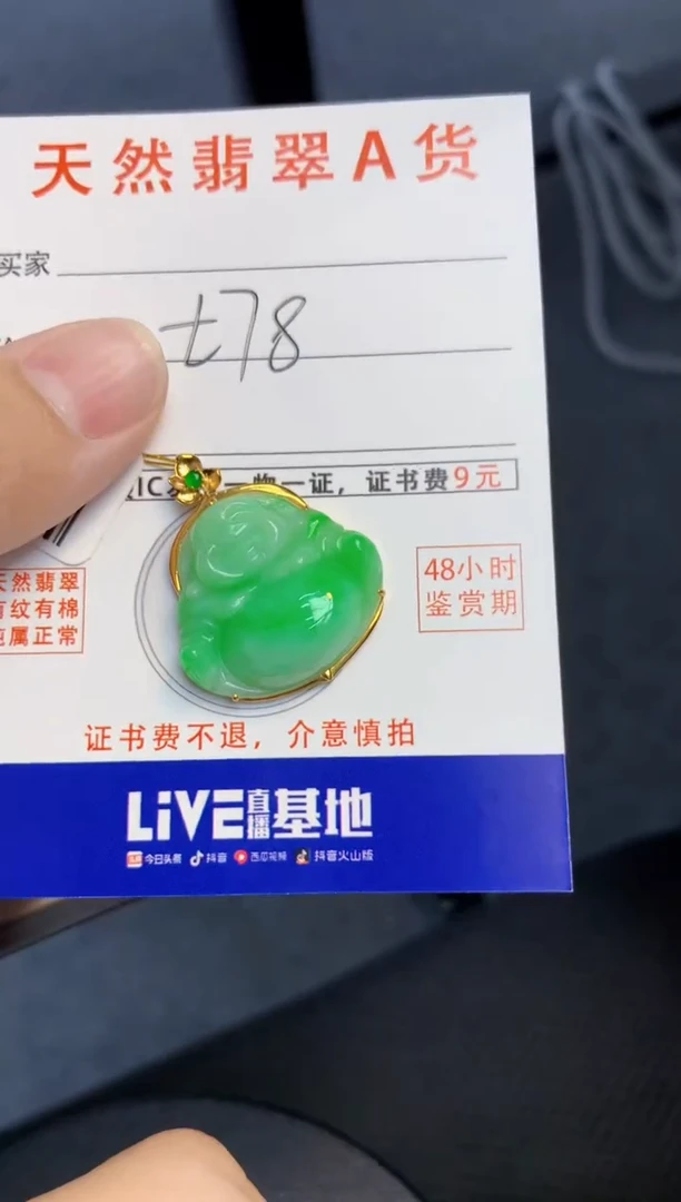 颈饰18K金镶嵌翡翠天然缅甸A货翡翠百元以上9元证书费自理