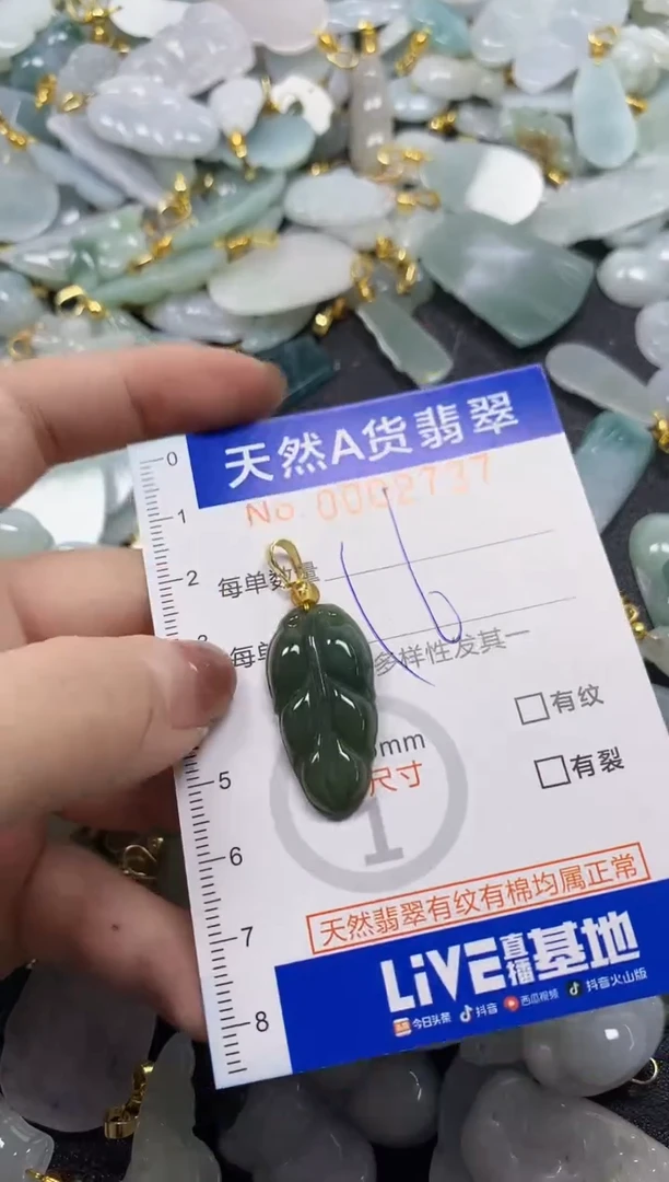颈饰未镶嵌翡翠天然A货翡翠