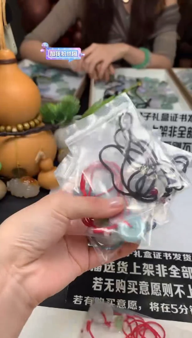 翡翠未镶嵌颈饰---22226多样性发其一