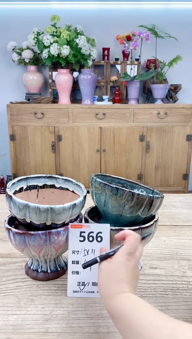 小玩子花盆直播号566