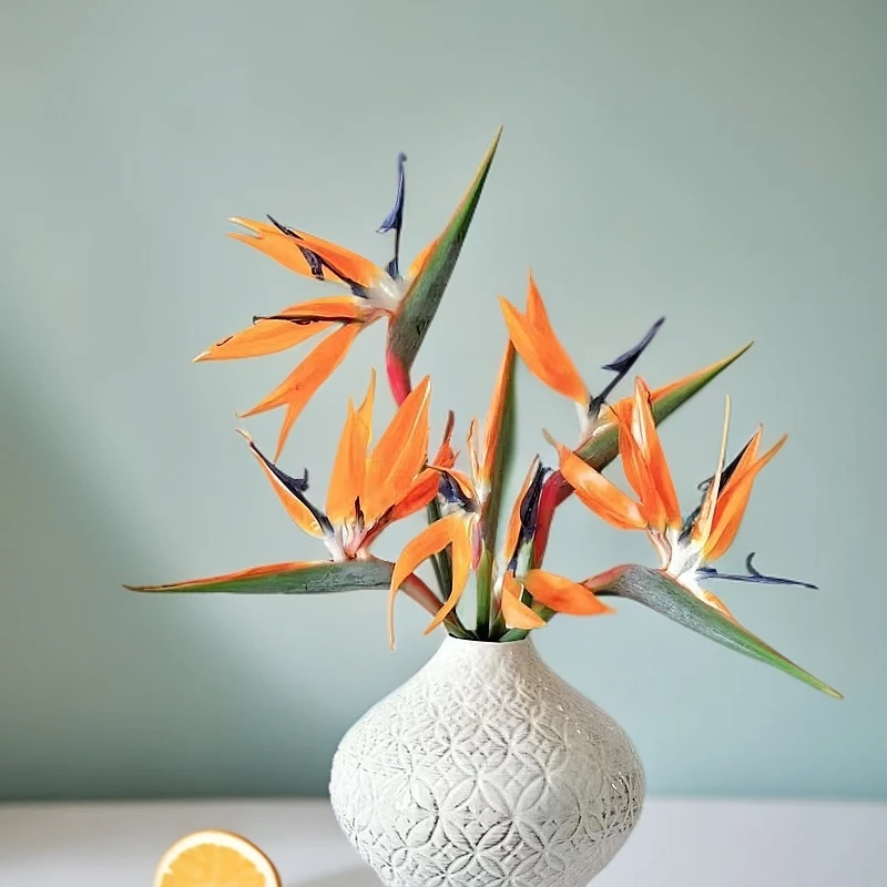 【香羿鲜花】天堂鸟两支/全场任意满两单及以上包邮