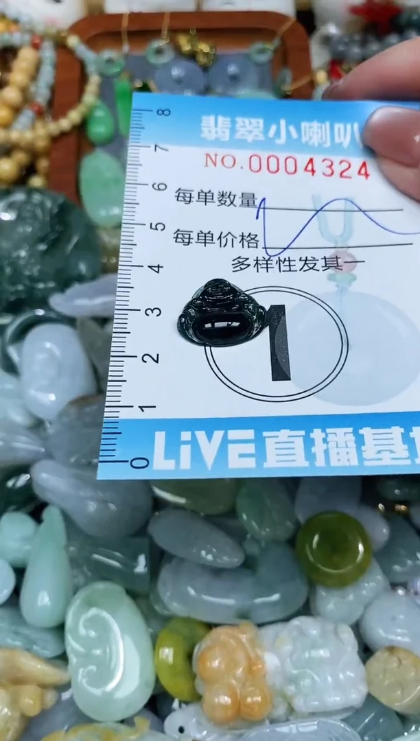 【闪购商品】翡翠颈饰未镶嵌闪购0004324