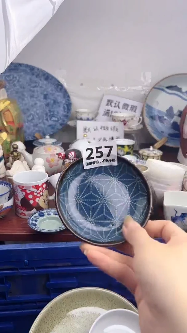 瓷片527..............