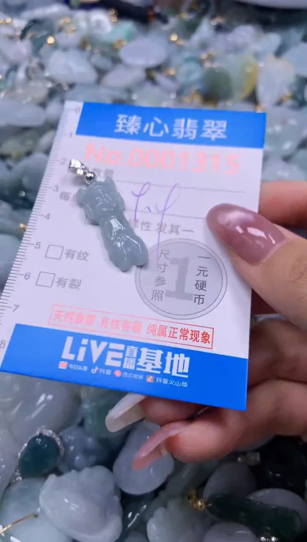 翡翠未镶嵌颈饰含绳0001315