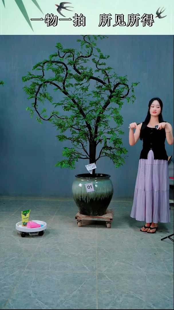 广东的，小叶紫檀