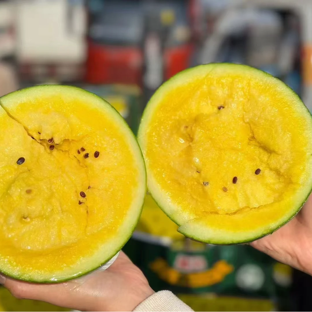 东台黄心手剥冰淇淋西瓜一份 2颗装 净重5~6斤