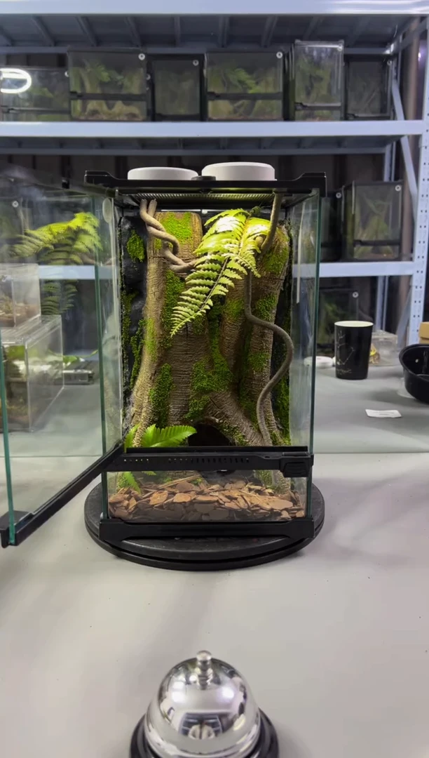 玻璃【长30宽25高27】爬宠造景缸睫角守宫树栖蜘蛛饲养箱爬宠爬虫缸
