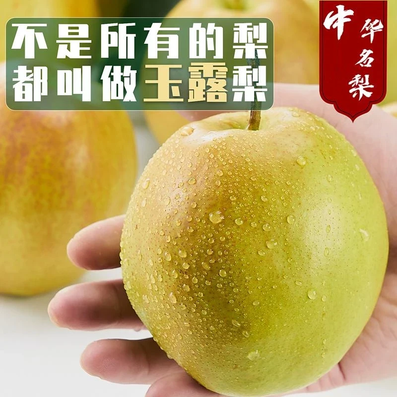 【头茬现摘中果】2025山西隰县玉露香梨香梨皮薄肉厚香甜多汁大果