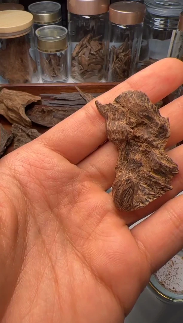 沉香簡*沉水达拉干标本5.6克