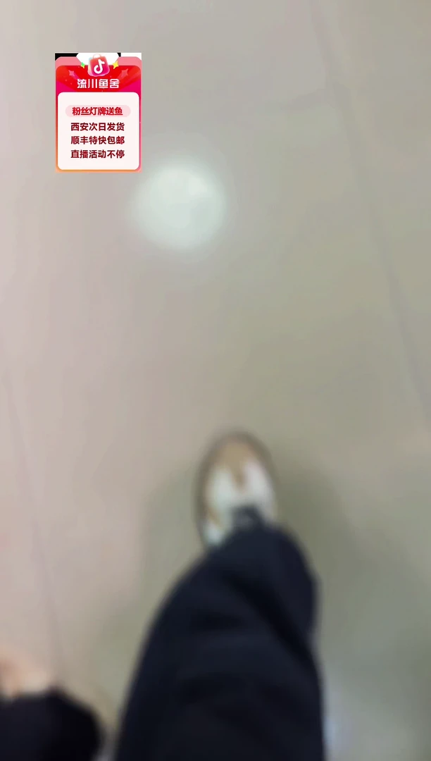 海水鱼长*白金火蚁