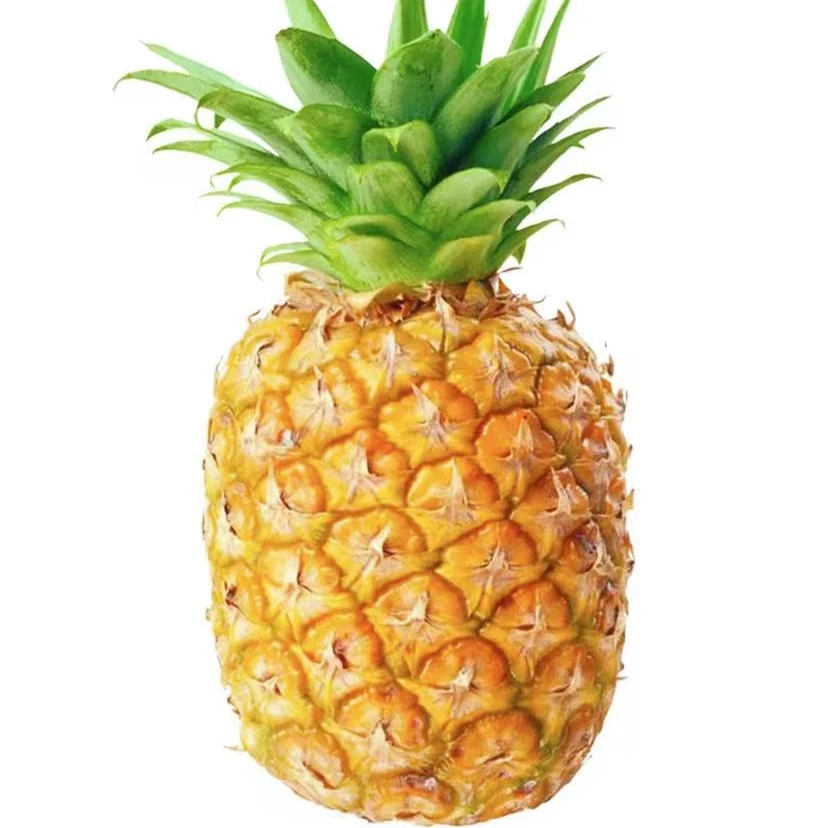 佳农菠萝（一个整果）1.5kg左右