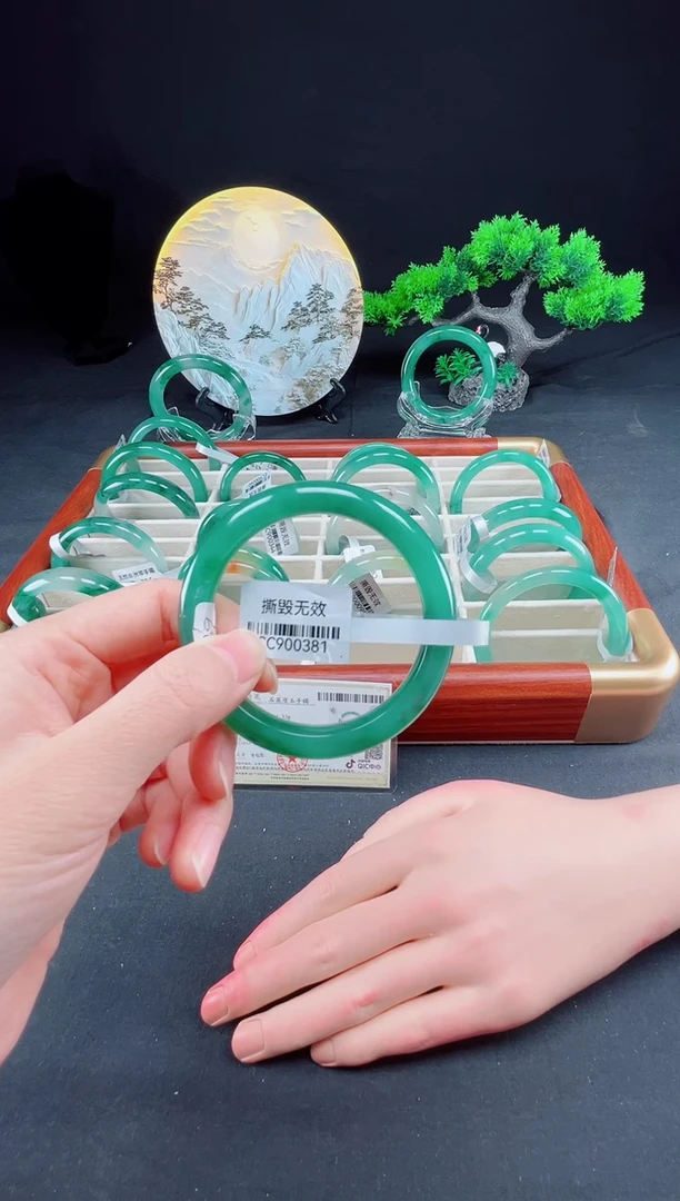 未镶嵌手镯石英质玉（非洲翠）真品上等纯天然非洲翠玉手镯石英质玉