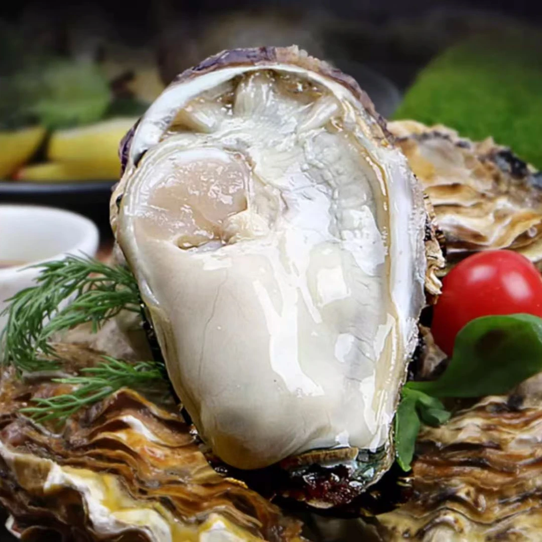 山东生蚝海蛎子单只3-4两左右 【京东顺丰包邮送货上门】净重5斤