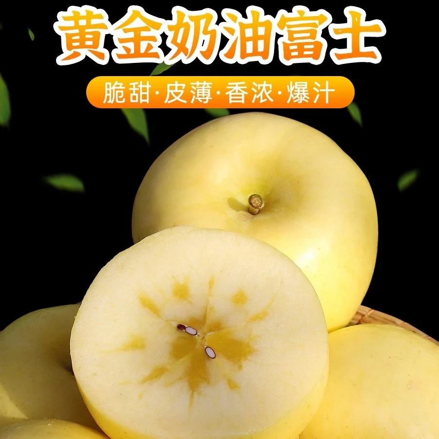 【助农惠利】M山东烟台黄金奶油富士苹果脆甜新鲜水果带箱5-10斤装