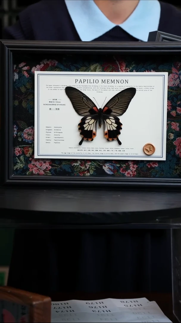 美凤蝶A4横框布艺款有尾