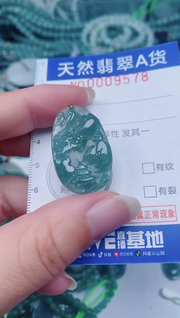 颈饰未镶嵌翡翠00009578
