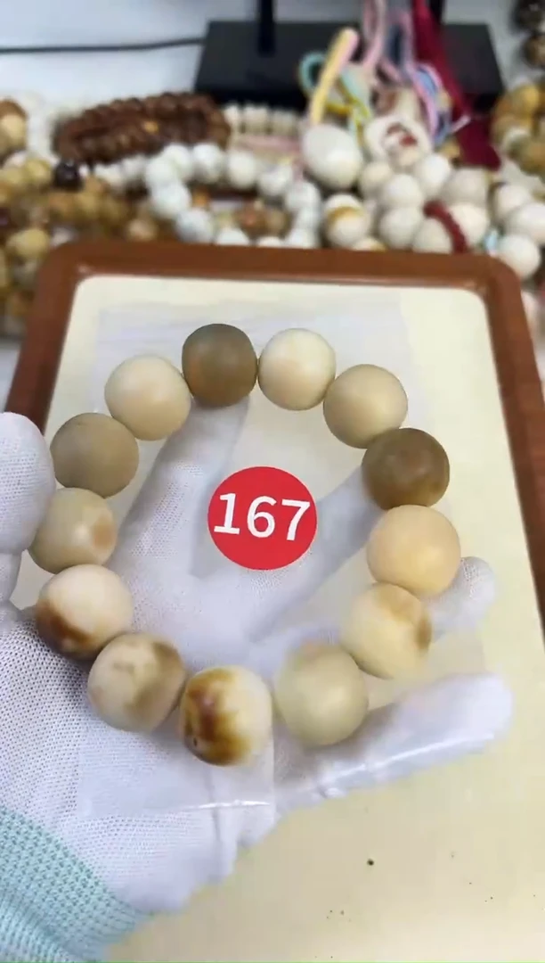 菩提根/象牙果手串23 微瑕 167