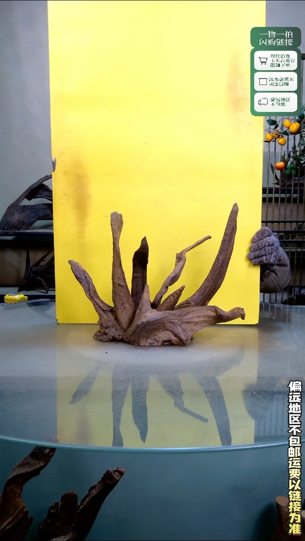 景沐沉木C284 粘接款