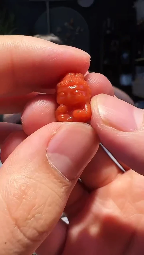 【闪购商品】南红玛瑙吊坠(不含链)未镶嵌挂件