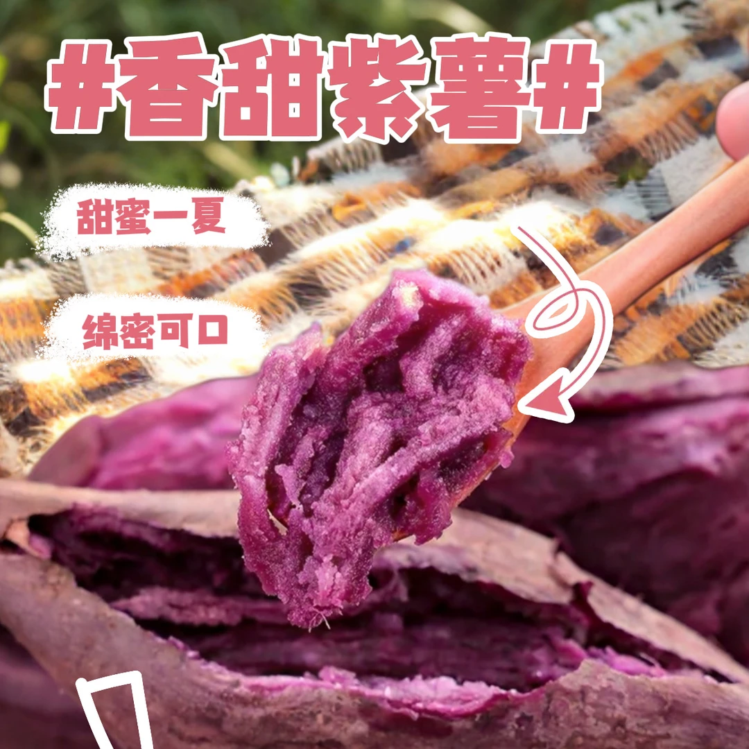 正宗冰淇淋紫薯新鲜现挖沙地种植粉糯香甜健康轻食粗粮