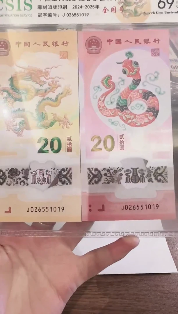 塑料2025龙蛇全同号一对啊啊啊啊