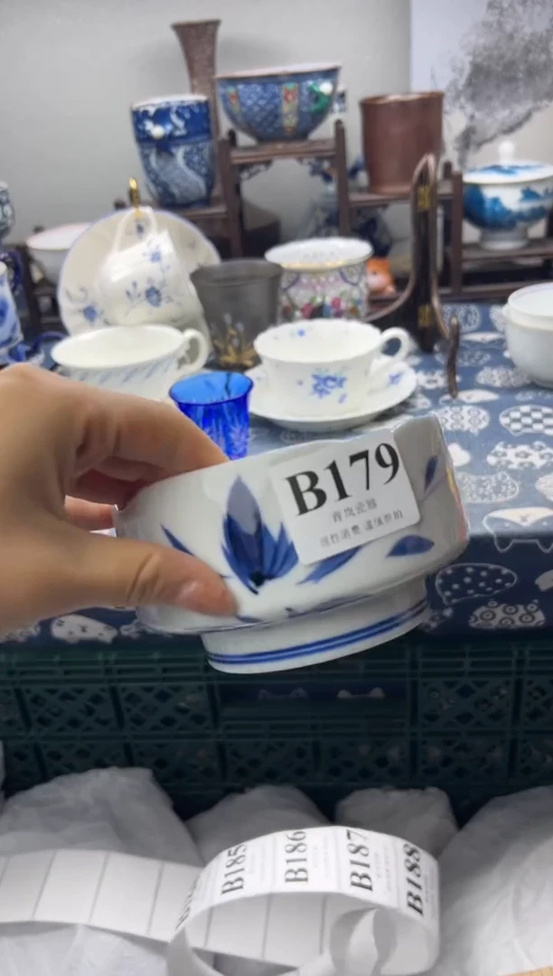 瓷片柳*柳  B179