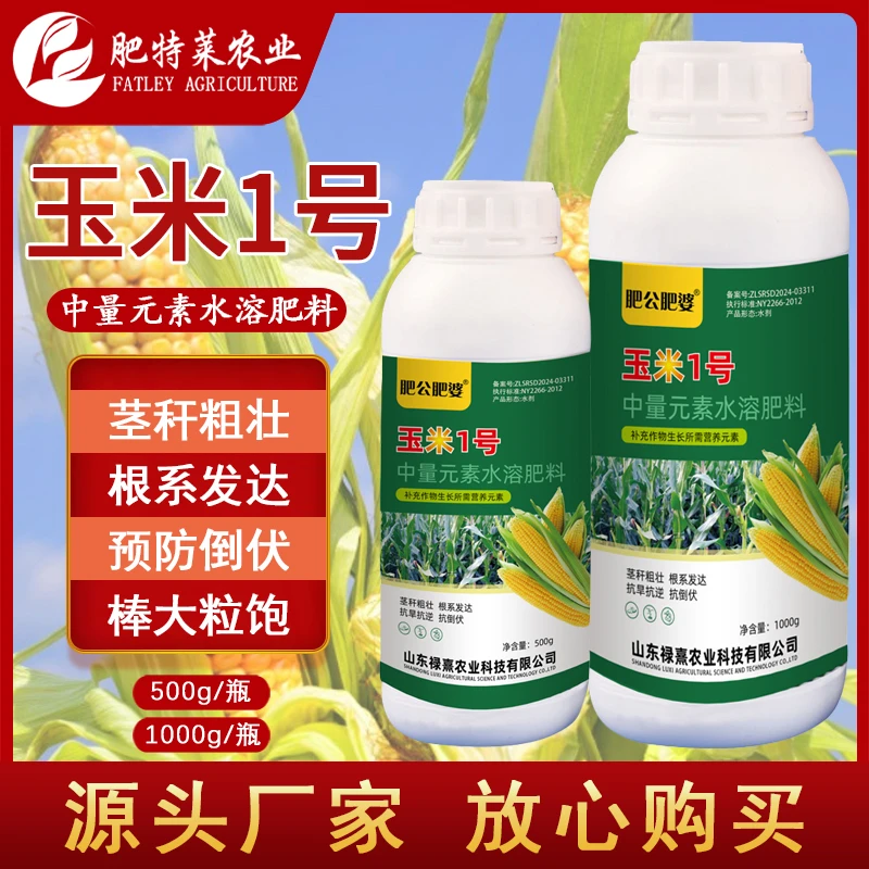 玉米一号增产增收玉米种植籽粒饱满抗倒伏棒大籽大高产专用叶面肥