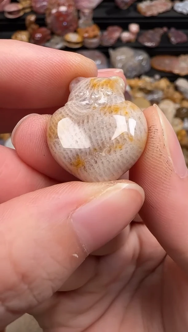 硅化珊瑚（珊瑚玉）未镶嵌颈饰442