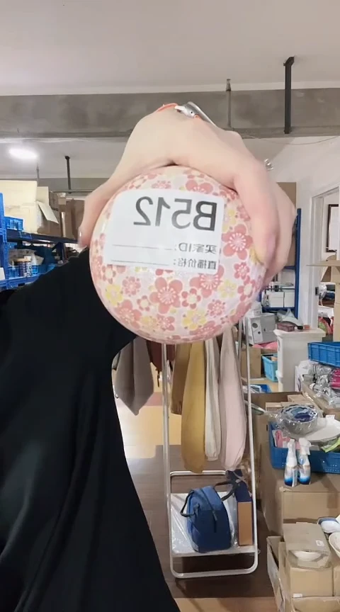 瓷片日本进口瓷器炖盅B512（240ml新