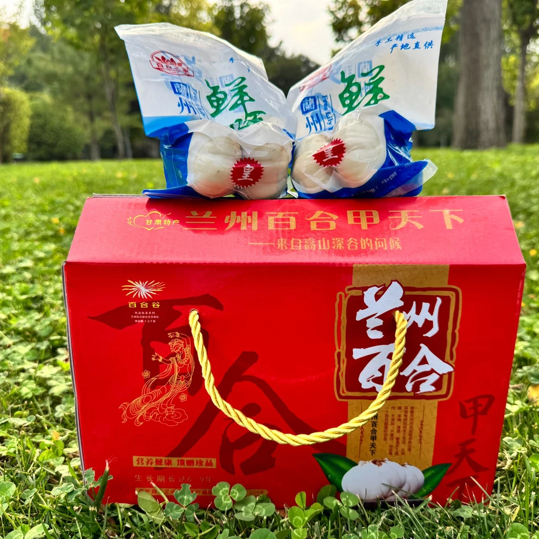 [精致礼盒】新鲜兰州百合精选品质特产