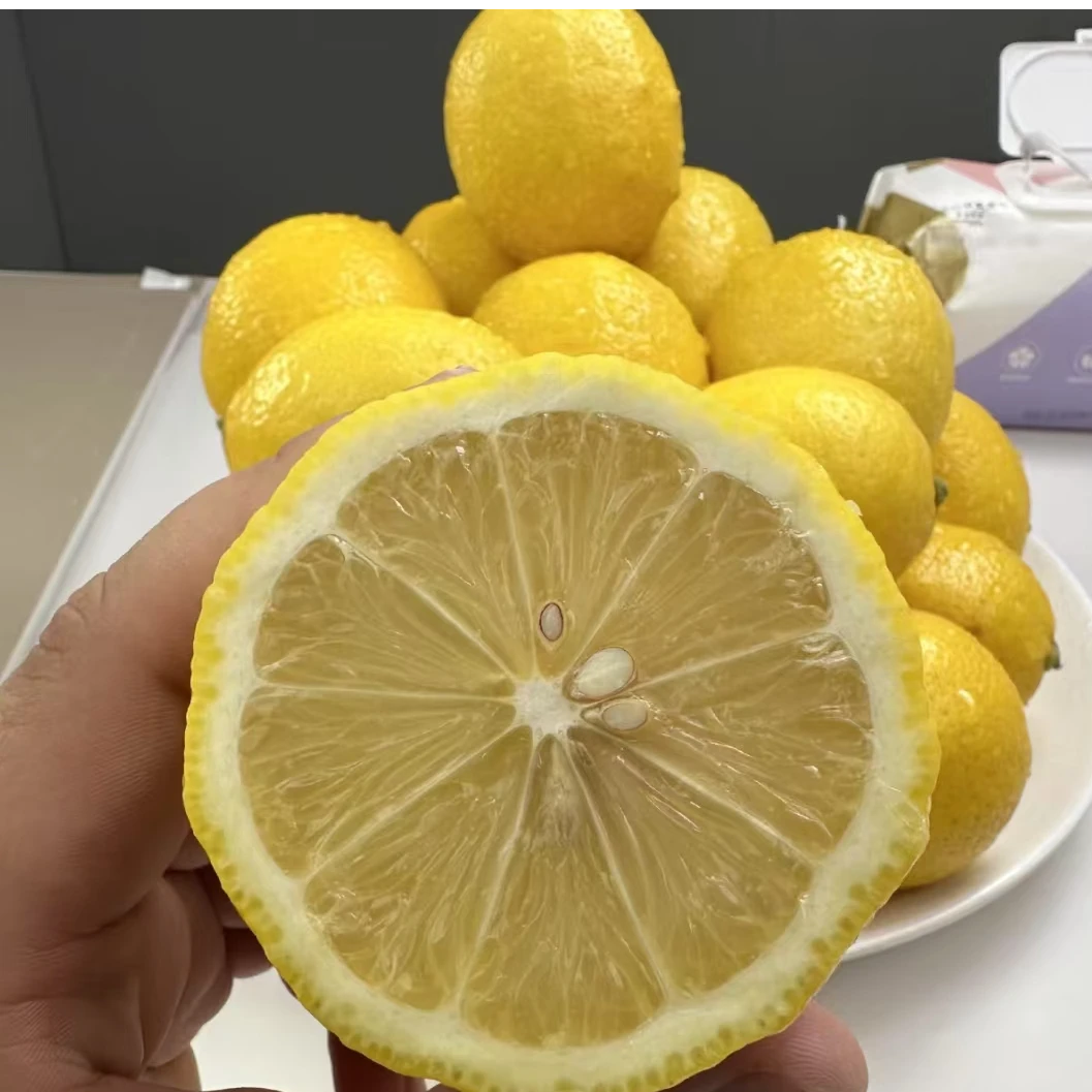 绵阳小时达 黄柠檬