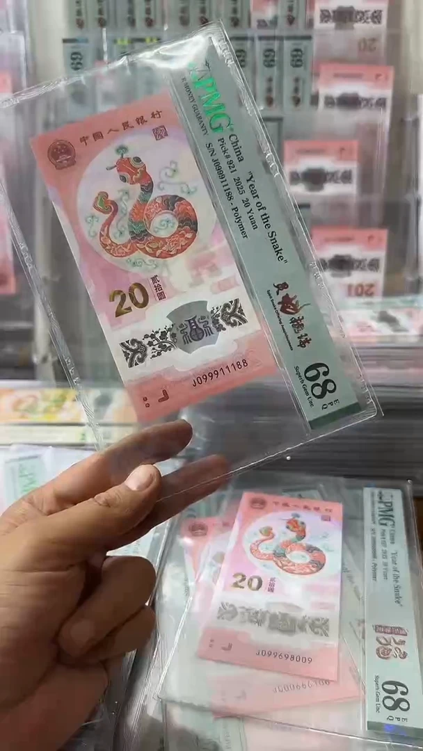 塑料099911188-蛇钞单张