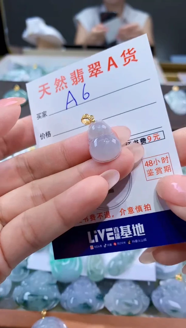 颈饰未镶嵌翡翠天然翡翠A货挂件