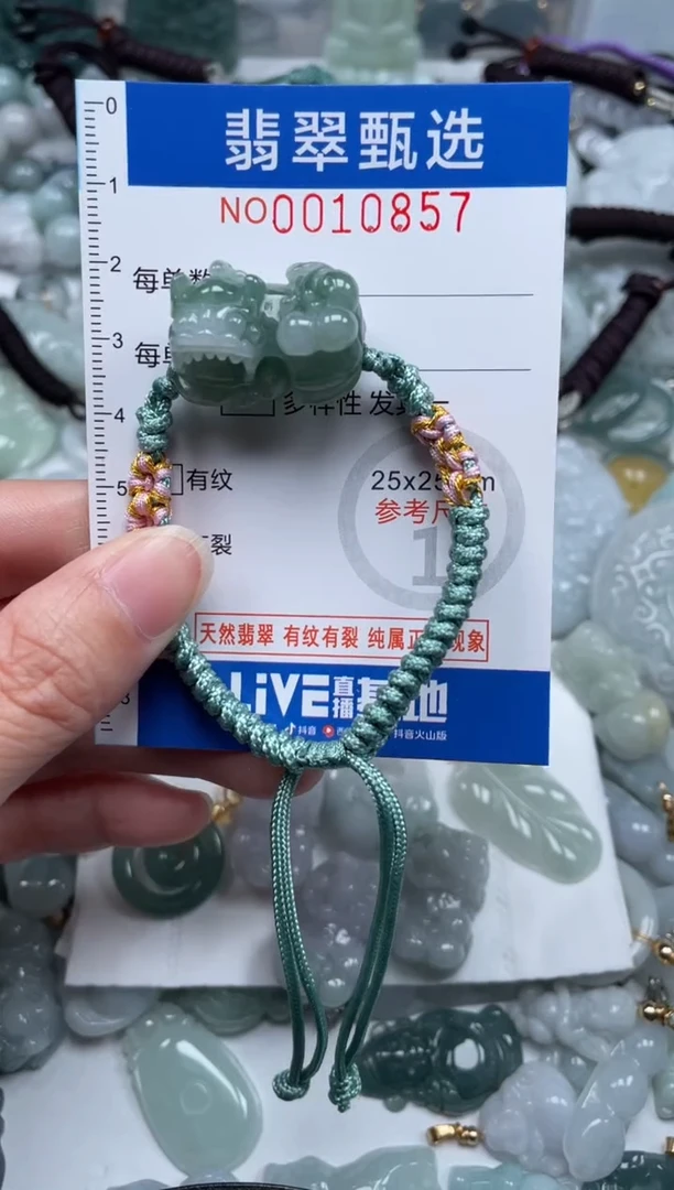 颈饰未镶嵌翡翠10857