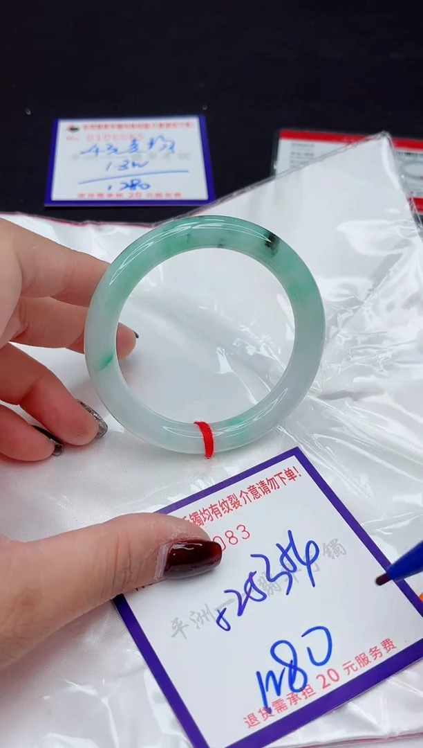 未镶嵌手镯翡翠1