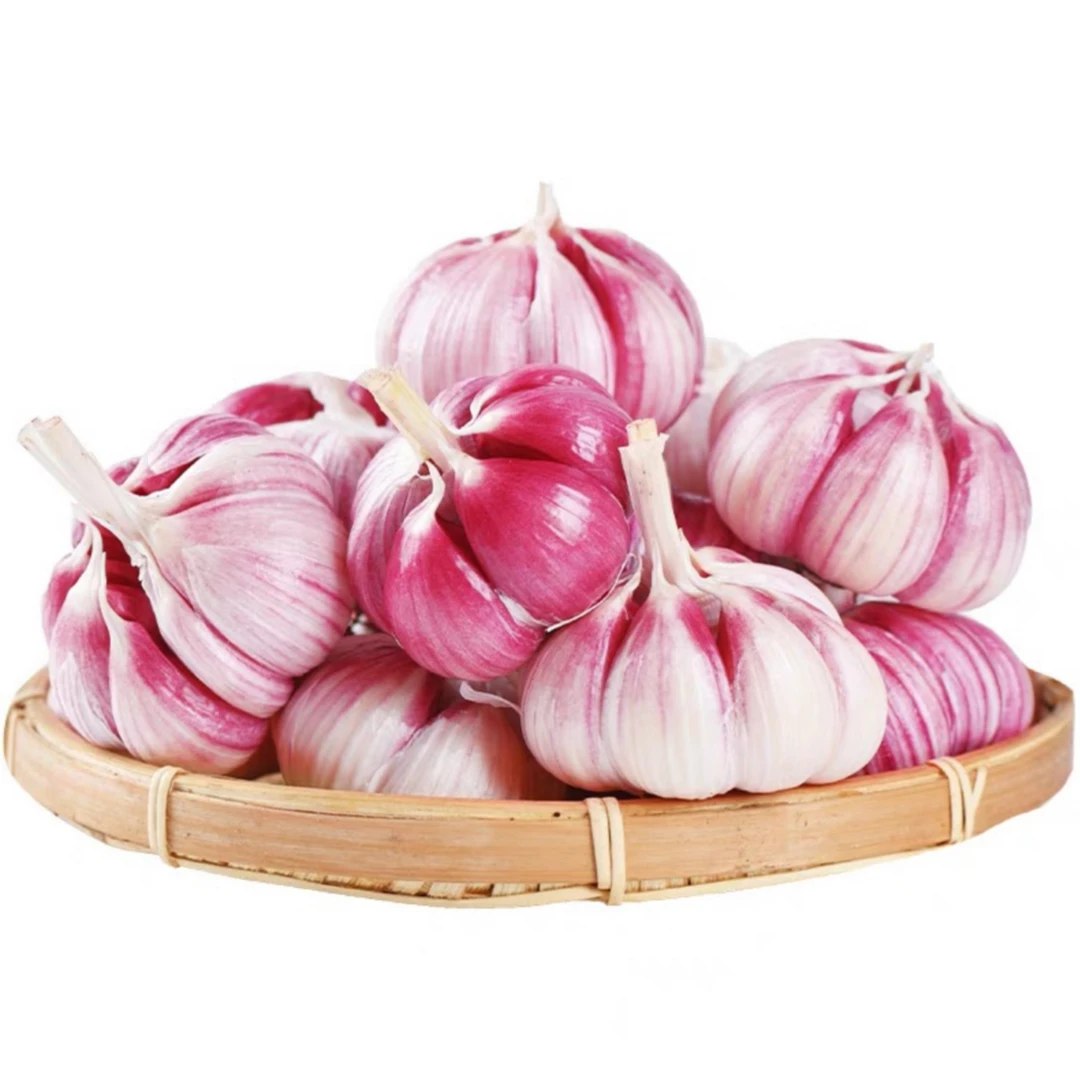 云南新鲜紫皮多瓣蒜现挖湿蒜老品种香蒜厨房必备调味料
