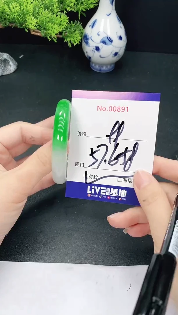 未镶嵌手镯翡翠891