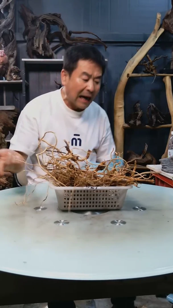 159清香阁清香阁清香阁